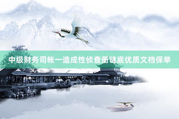 中级财务司帐一造成性侦查册谜底优质文档保举
