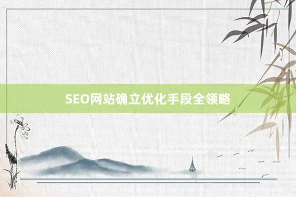 SEO网站确立优化手段全领略
